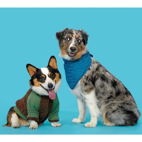 NWT Bark Home Bark Varsity Jack For Dogs Size M - Picture 12 of 12